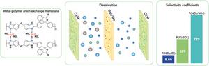 Water Purification Membranes with Metal Ions