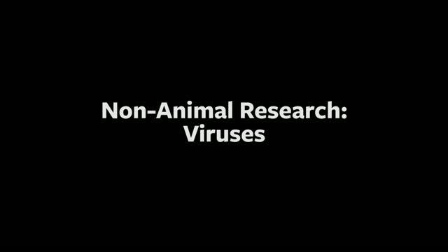 Animal Free Research: Viruses
