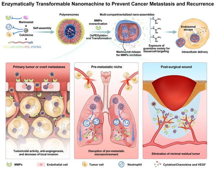Enzymatically Transformable Nanomachine to Prevent Cancer Metastasis and Recurrence
