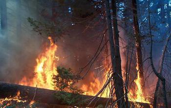 El Niño-La Niña Pattern