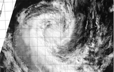 Terra Image of Guito