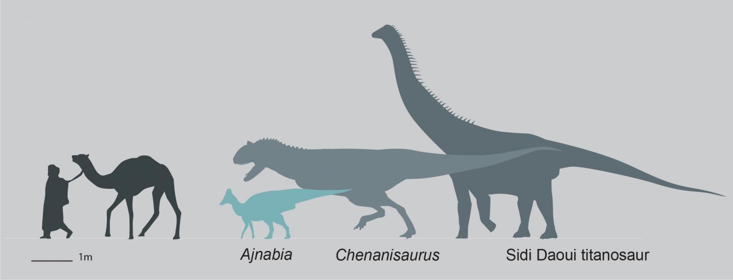 Ajnabia and contemporaries silhouette