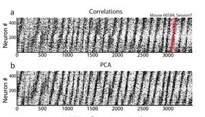 Zebra-striped_raster_plot Kavli Institute for Systems Neuroscience