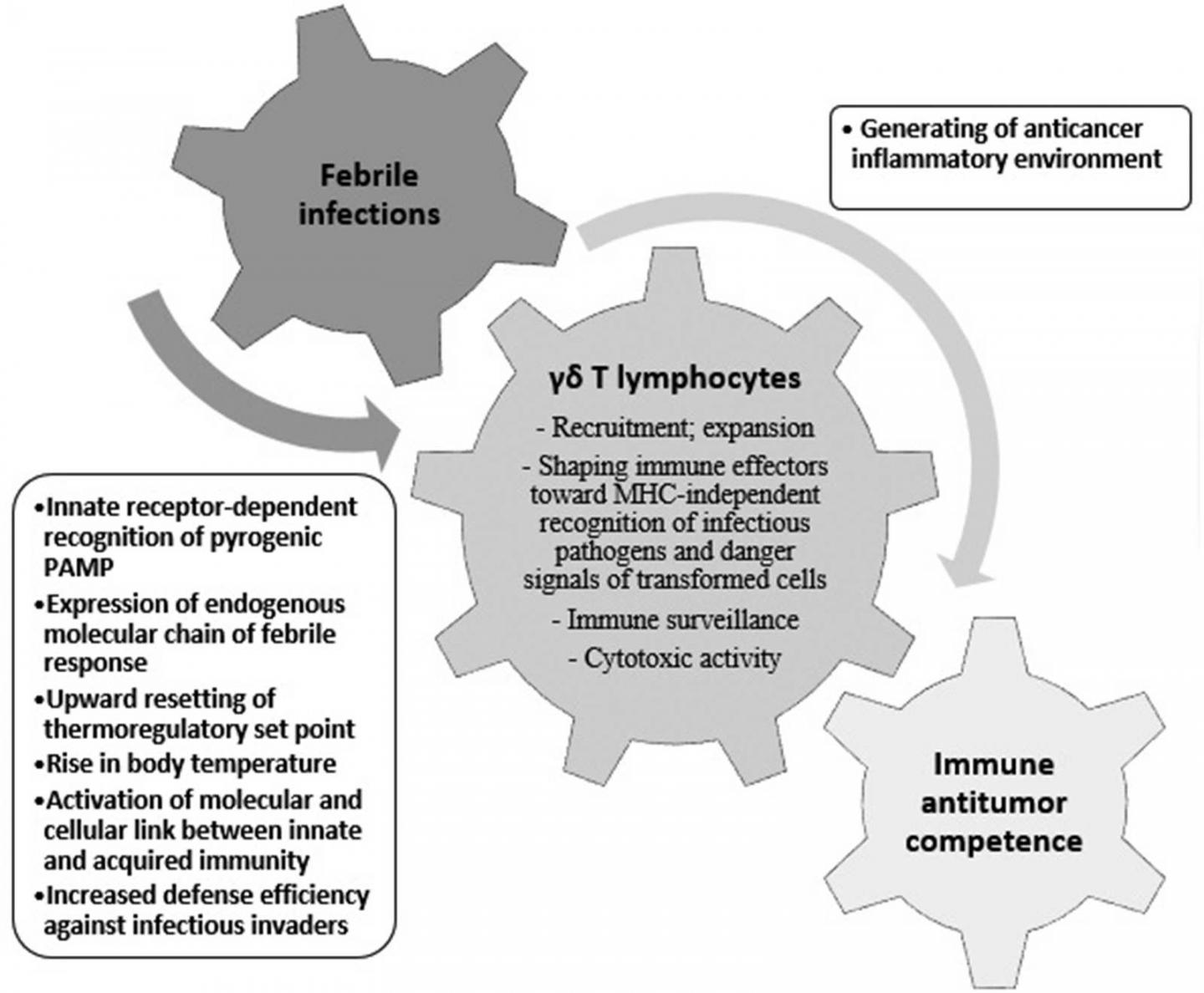 Exploring the Relationship Between Fever and Cancer Incidence -- Figure 1