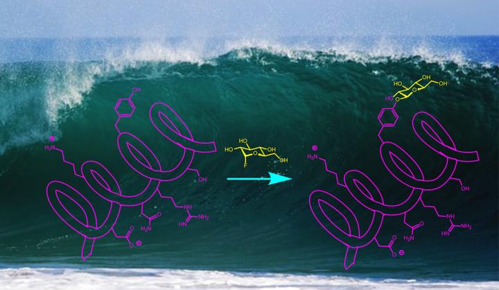New Formula for Creating Chemical Reactions -- with Carbs