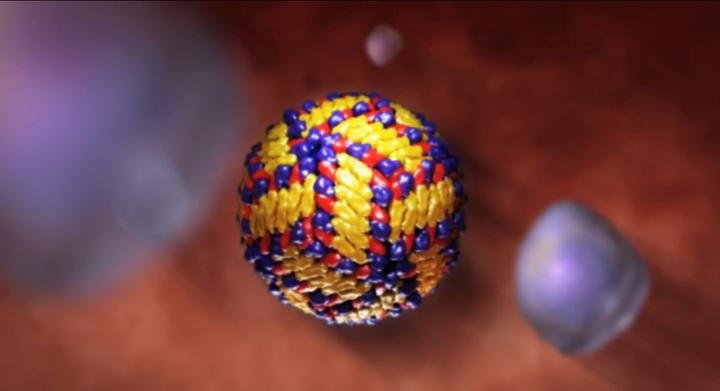 Dengue Virus Schematic