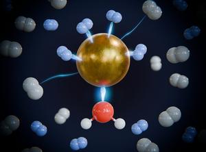 Direct evidence for ligand-enhanced activity of Cu(I) sites†