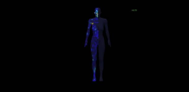 3-D Human Skin Map Created by UC San Diego Researchers