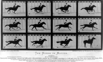 Eadweard Muybridge's 'Horse in Motion'