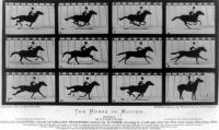 Eadweard Muybridge's 'Horse in Motion'
