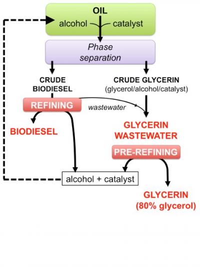 Biodiesel Process