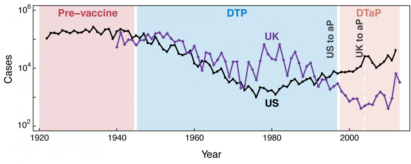 Pertussis Infection Trends in the US and UK