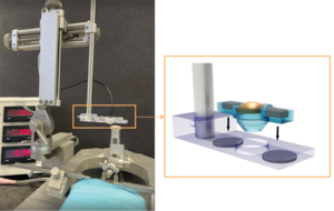 FUS transducer