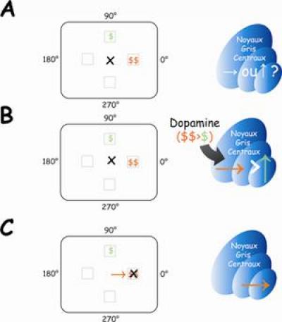 Process of Decision Making