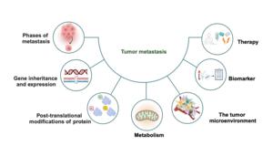 The Multi-Step Cascade of Tumor Metastasis: Key Mechanisms and Regulatory Networks