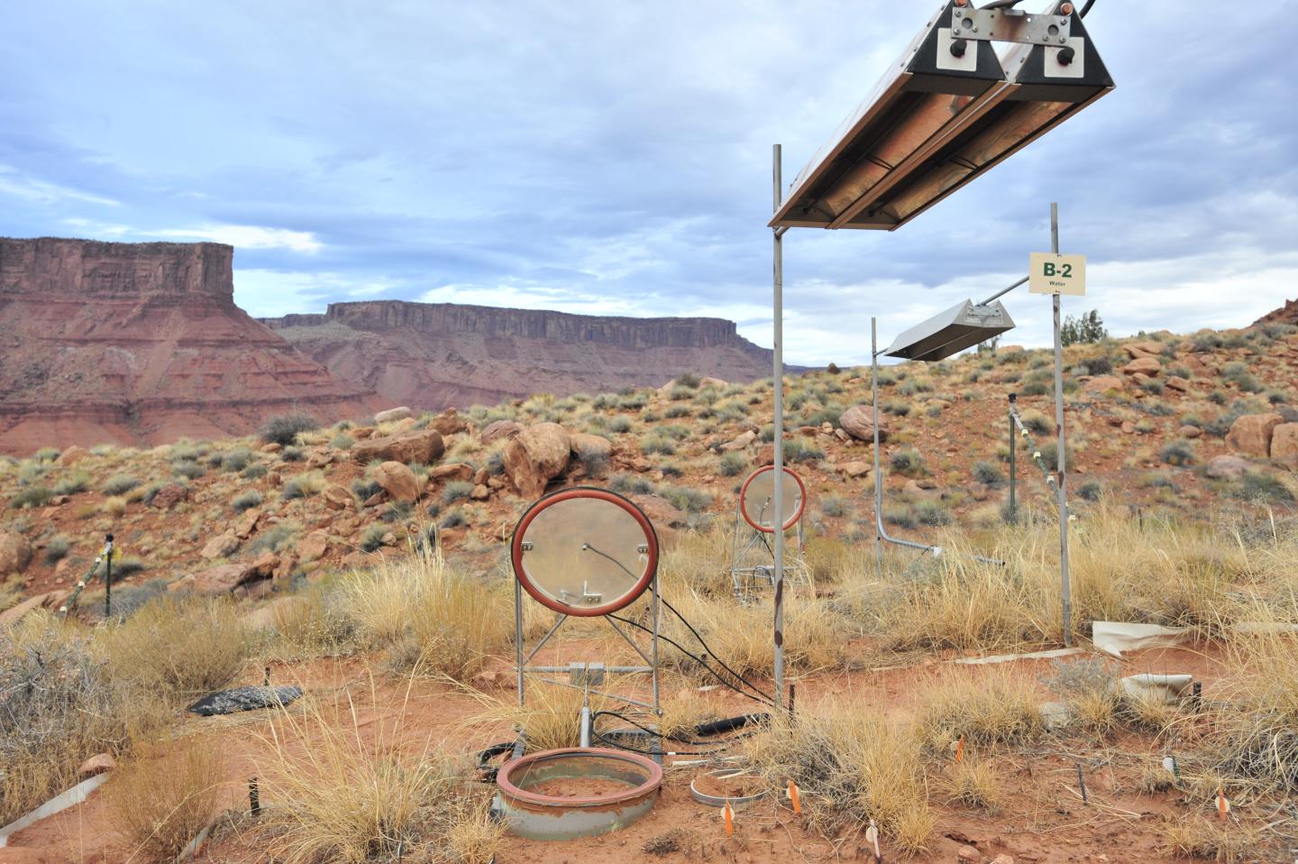 USGS Biocrust Outdoor Testing Plots