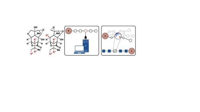 Virtual chemistry speeds up drug discovery