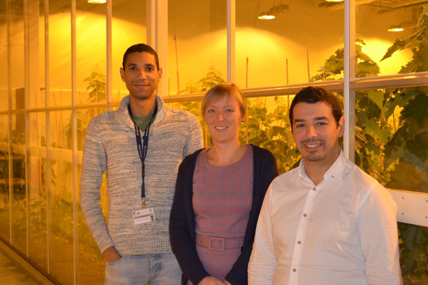 VIB-UGent Scientists