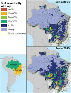 Brazil’s expanding soybean acreage