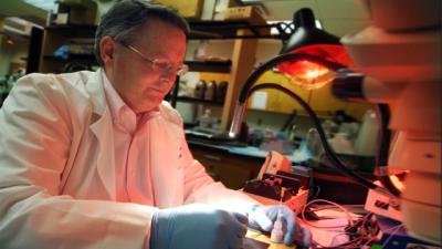 Dr. David Pollock, Medical College of Georgia at Georgia Regents University