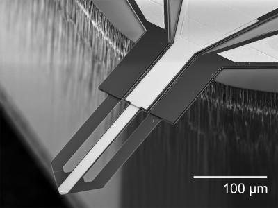 King Electrothermal Cantilever