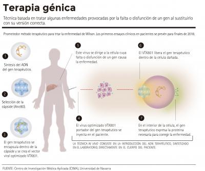 Promising Gene Therapy Method