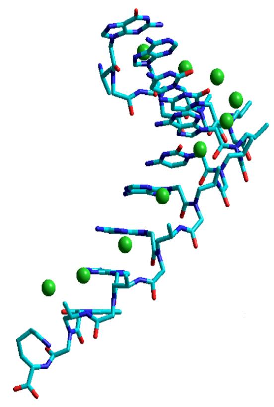 Gamma Peptide Nucleic Acid