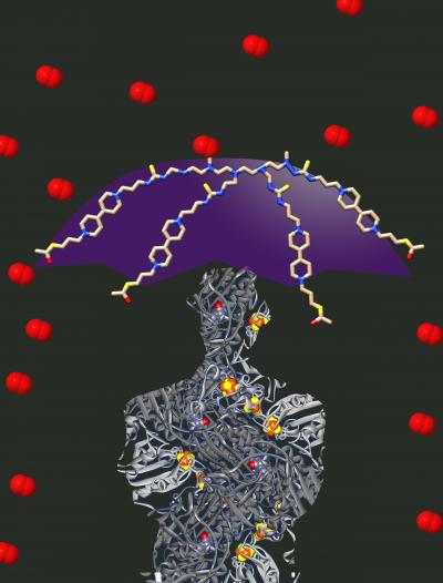 A Protecting Umbrella