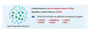 Integrating machine learning with total network controllability analysis to identify therapeutic targets for cancer treatment