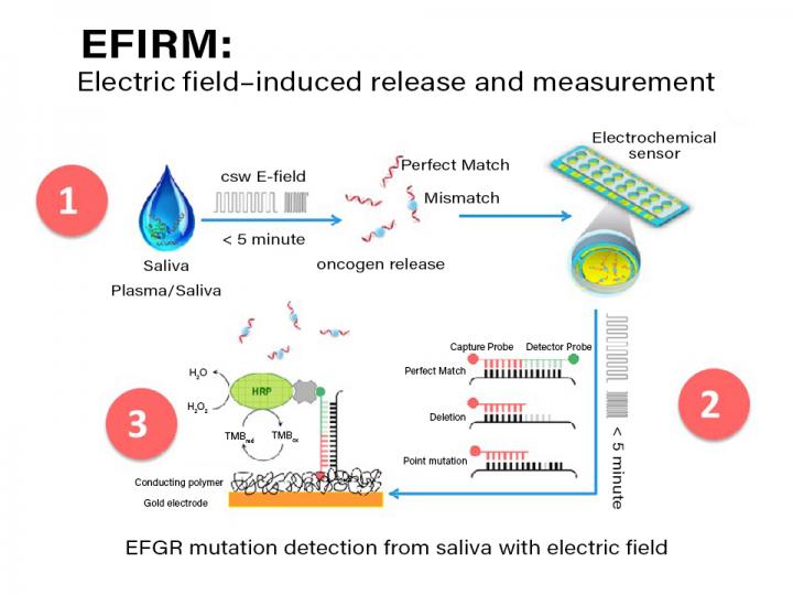 Novel Technology Enables Detection of Early-Stage Lung Cancer when Surgical Cure Still Is Possible