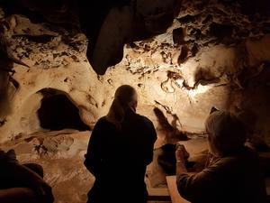 The earliest unambiguous Neanderthal engravings on cave walls: La Roche-Cotard, Loire Valley, France