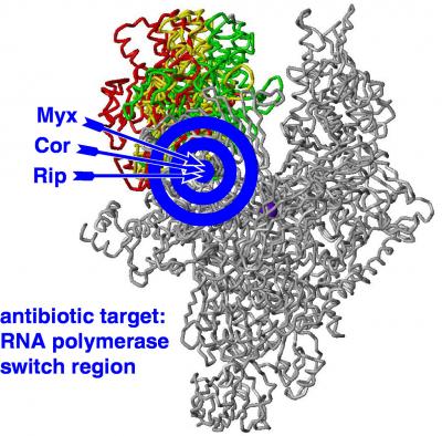 New Antibiotic Rargets on the RNA Molecule