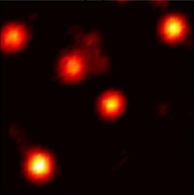 Clemson Scientists Shed Light on Molecules in Living Cells 2 (of 2)