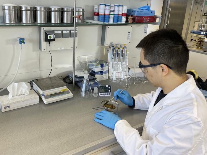 First author Xingjie Wang working in the lab