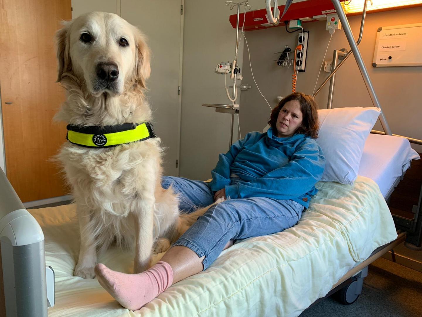 Assistance Dog User Iris and Her Dog Sandy in the Recovery Room After Surgery