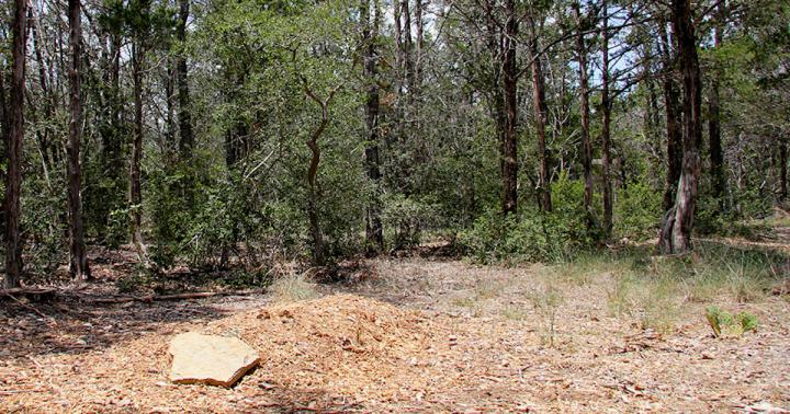 Natural burial