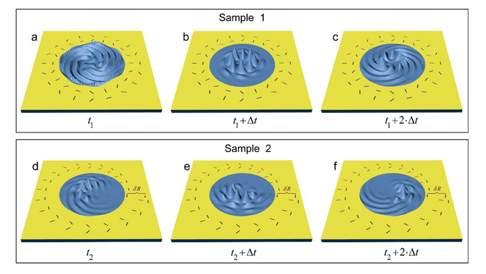 Images reveal orbital angular momentum of plasmons