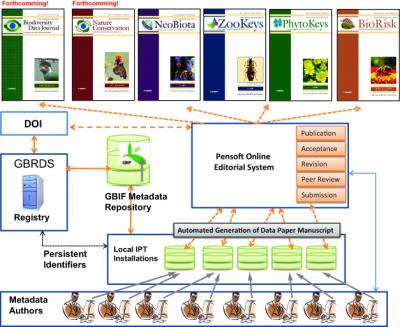 Workflow of Data Publishing wi [IMAGE] | EurekAlert! Science News Releases
