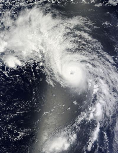 Terra Image of Genevieve