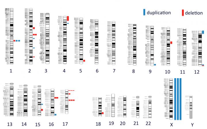 DNA Abnormalities Found in Children with Chronic Kidney Disease