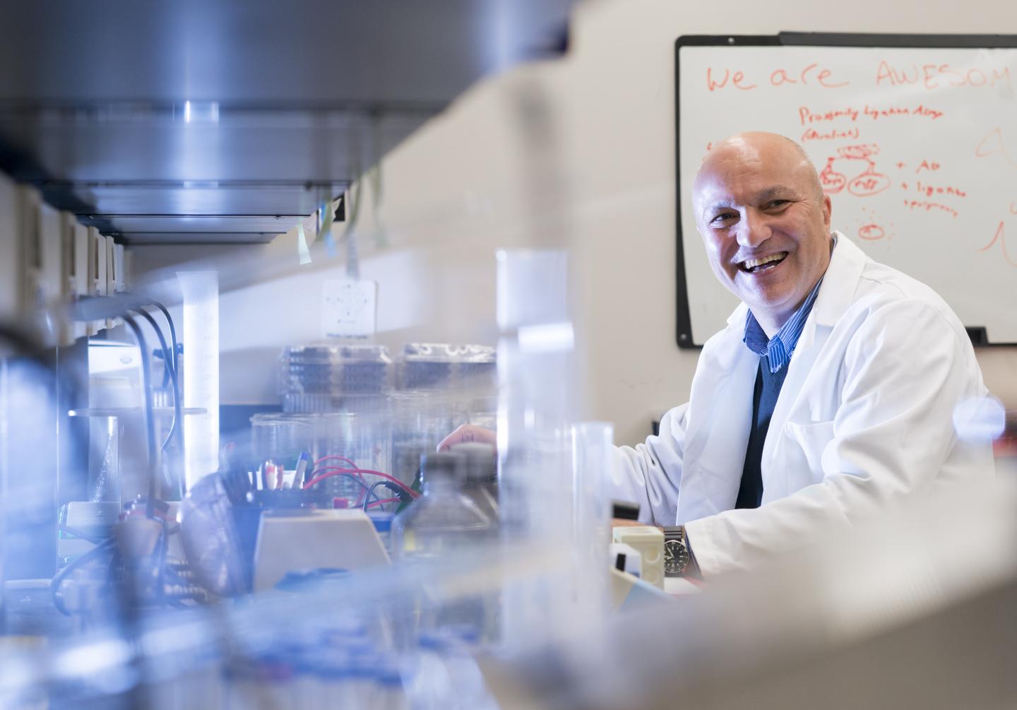 Besim Ogretmen, Medical University of South Carolina