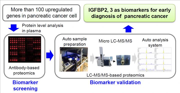 Biomarker Discovery for  Early Pancreatic Cancer Detection