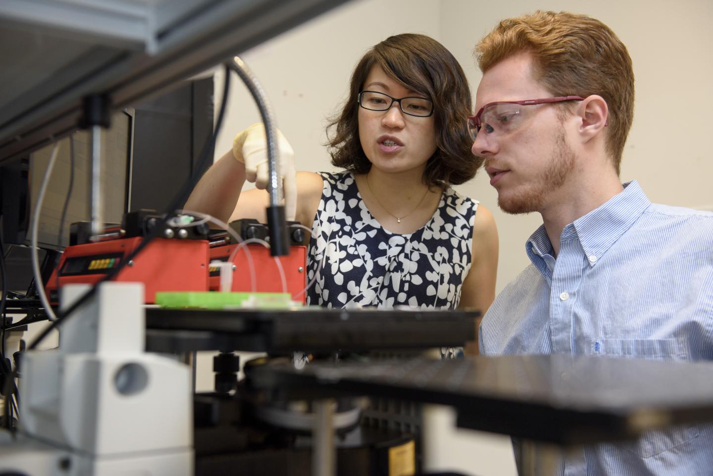 Stanford scientists create a cellular guillot | EurekAlert!