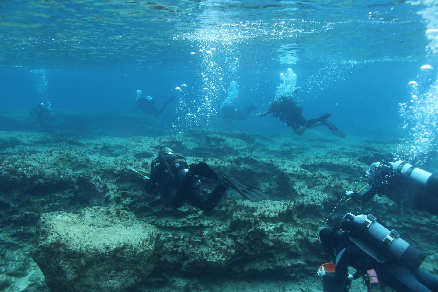 Lionfish removal event off the coast of Cyprus