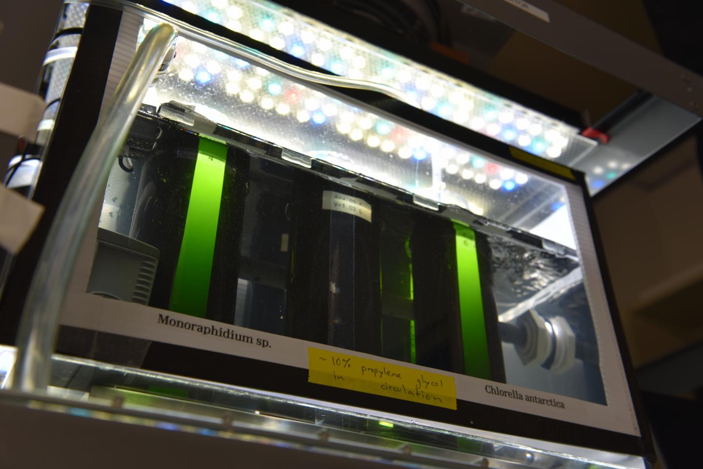 Laboratory Environmental Algae Pond Simulator