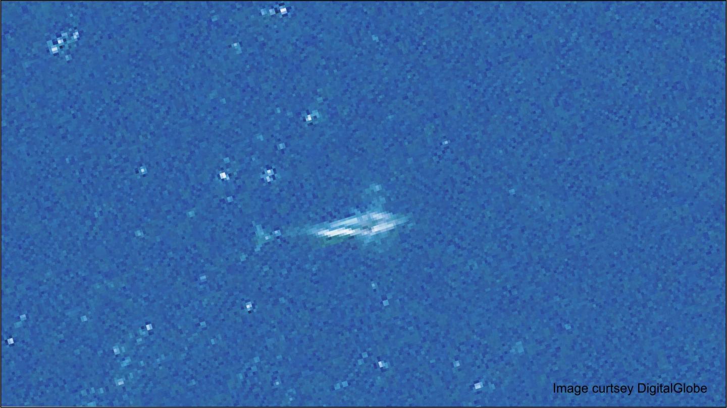 Fin Whale Captured by Satellite