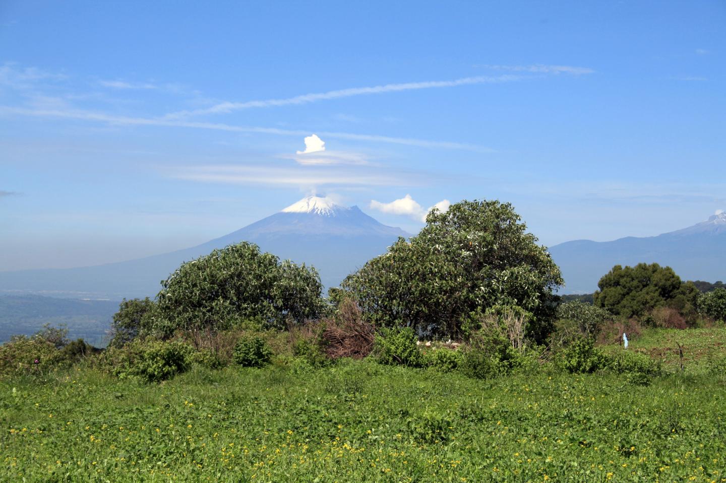 View from Tlaxcallan