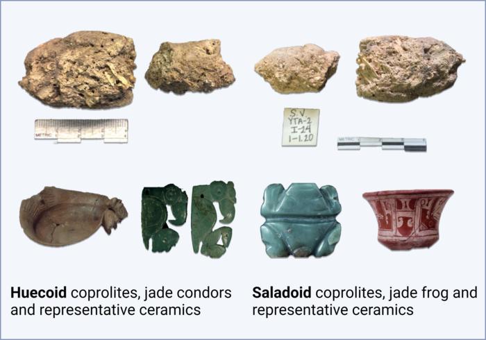 Edible flora in pre-Columbian Caribbean coprolites: Expected and unexpected data