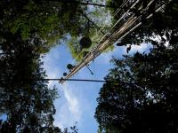 Eddy-Flux tower in Amazon Forest