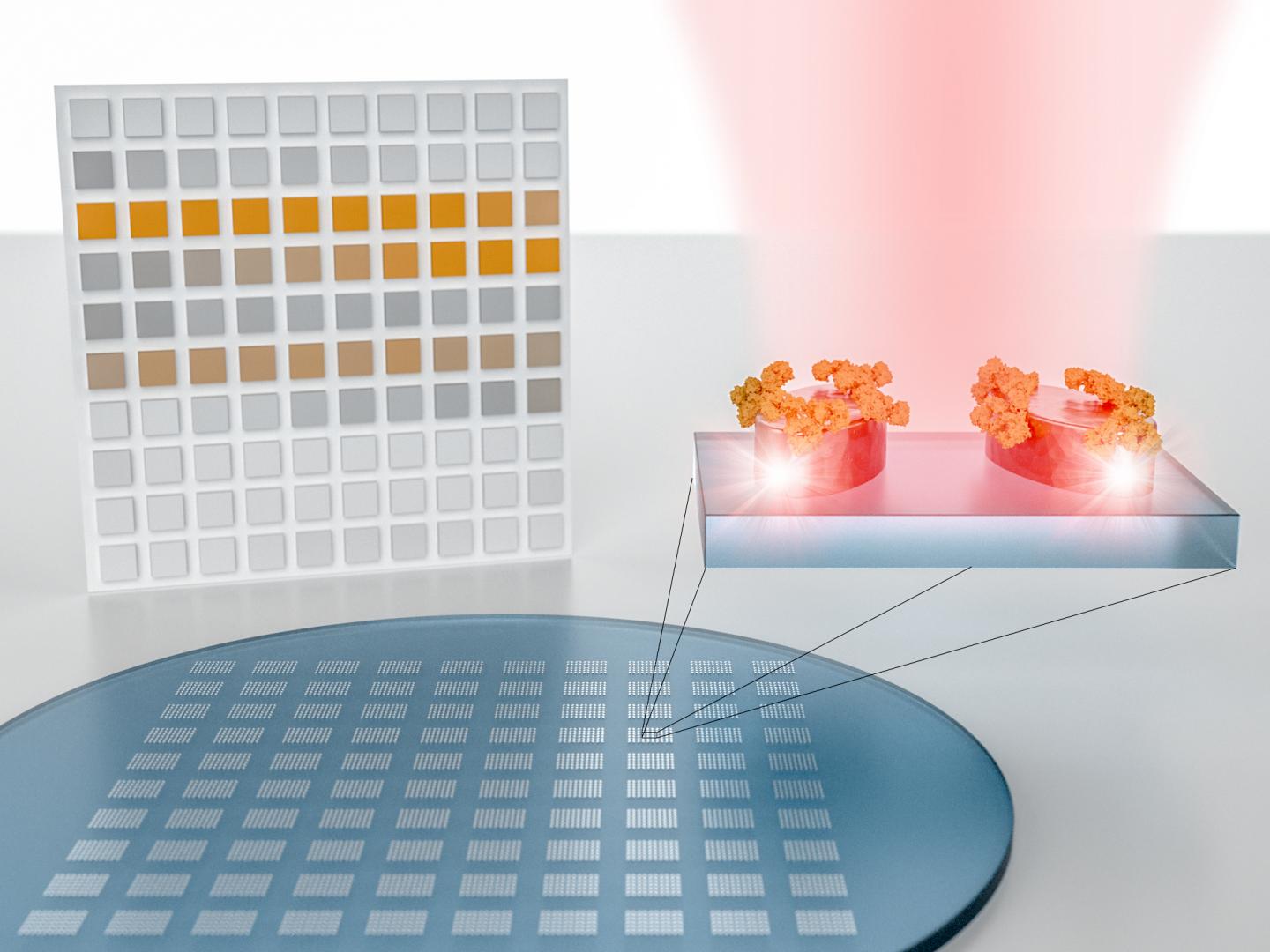 A Nanophotonic Platform that Can Detect Characteristic Molecular Absorption Fingerprints